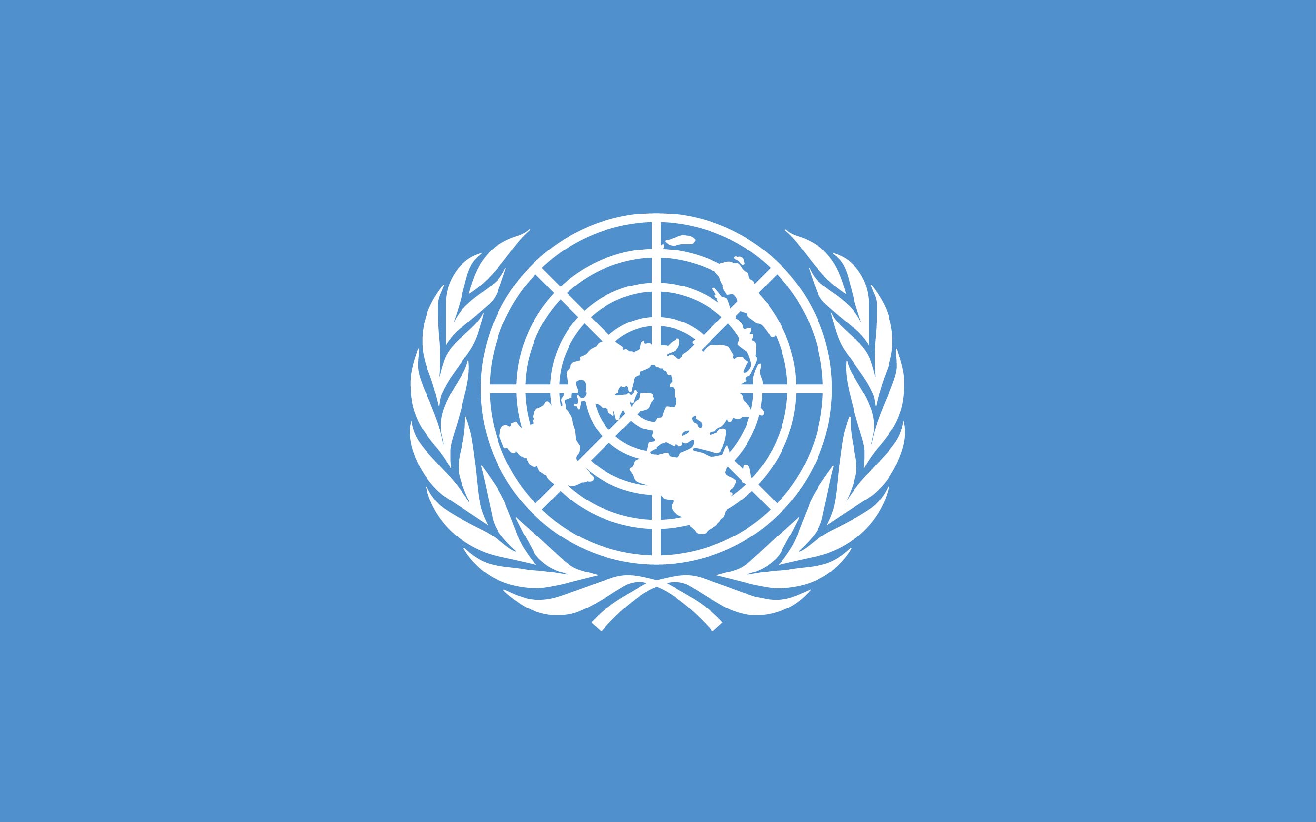 UN flag article