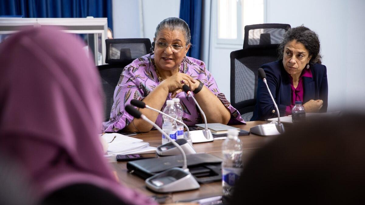 SRSG stresses the importance of including persons with disabilities in all political processes