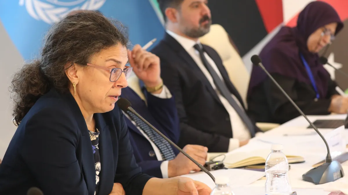 DSRSG Koury at the Structured Dialogue