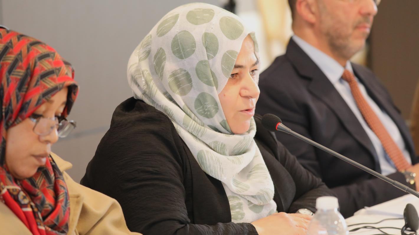 Members of the governance track of the structured dialogue in a meeting with the PWG members states