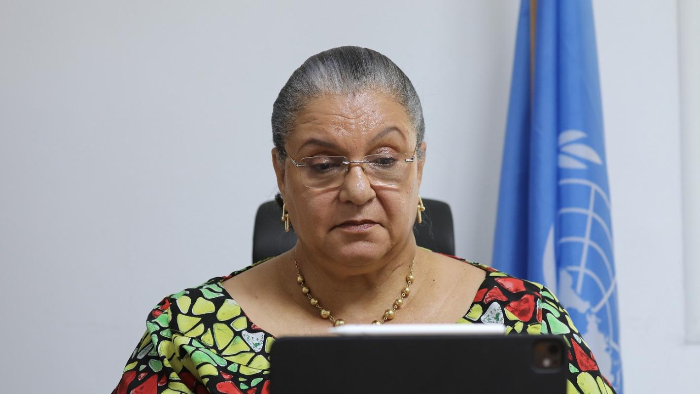 srsg_hanna_tetteh_in_the_virtual_plenary_meeting_of_the_structured_dialogue_.jpeg