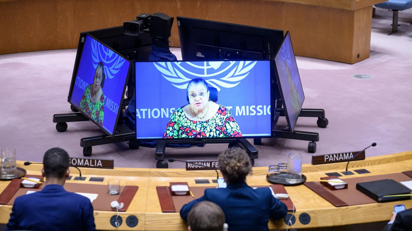 SRSG briefs the UN Security Council on 22 April