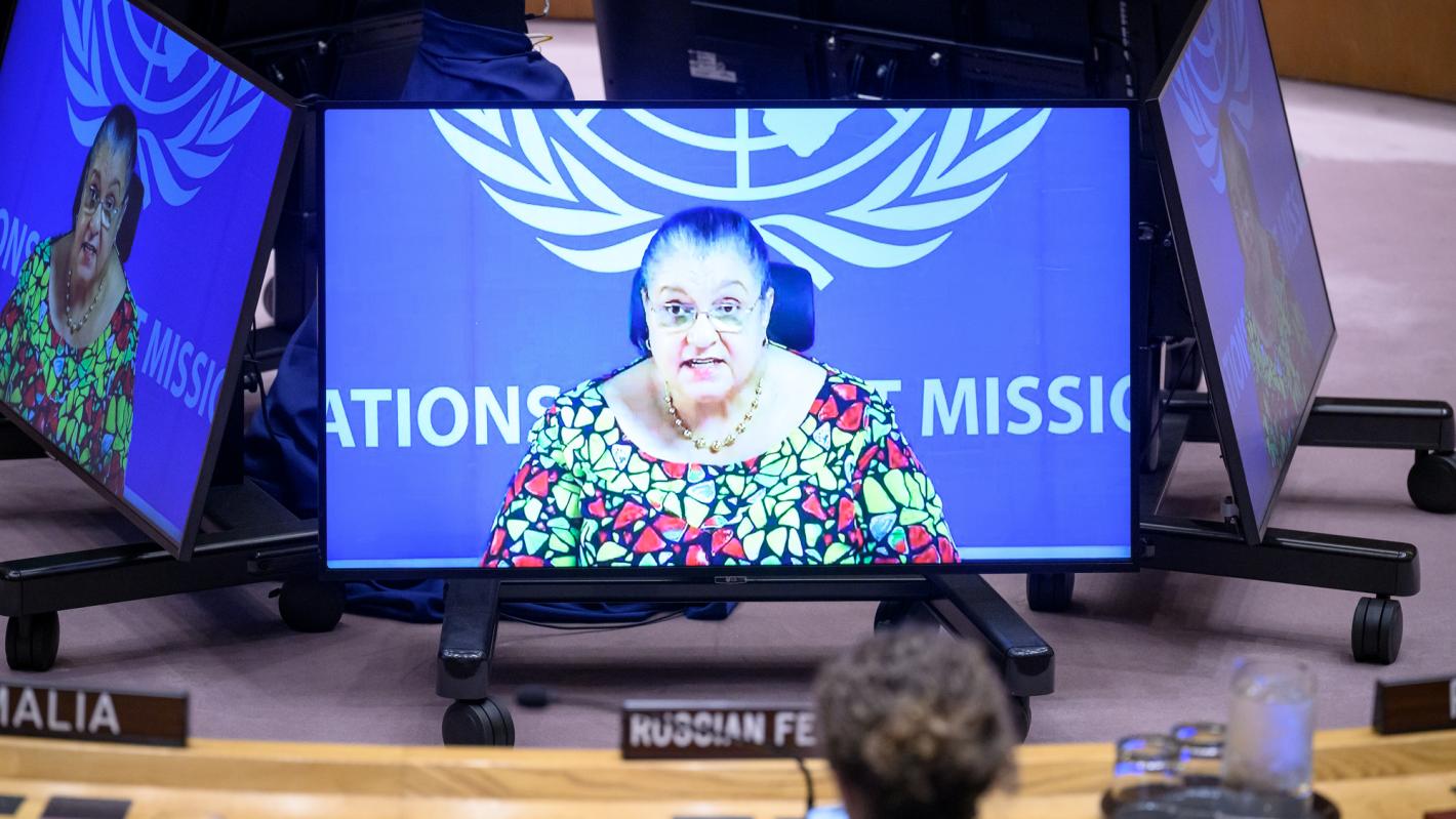 SRSG briefs the UN Security Council on 22 April