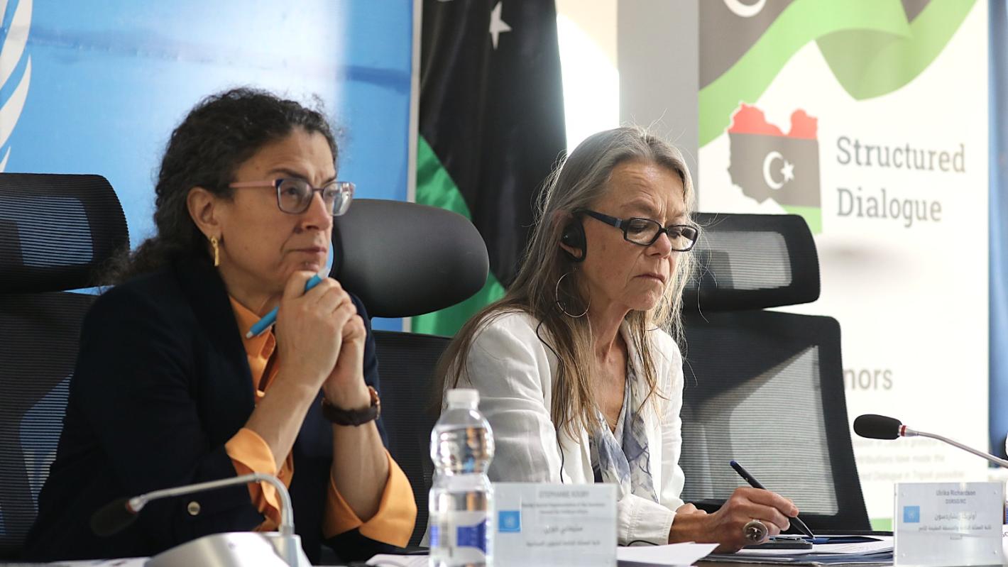 DSRSGs at the meeting 