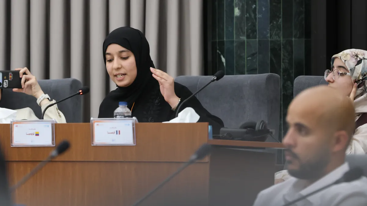 Model United Nations