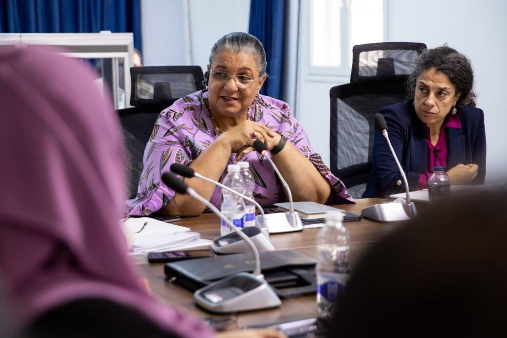 SRSG stresses the importance of including persons with disabilities in all political processes