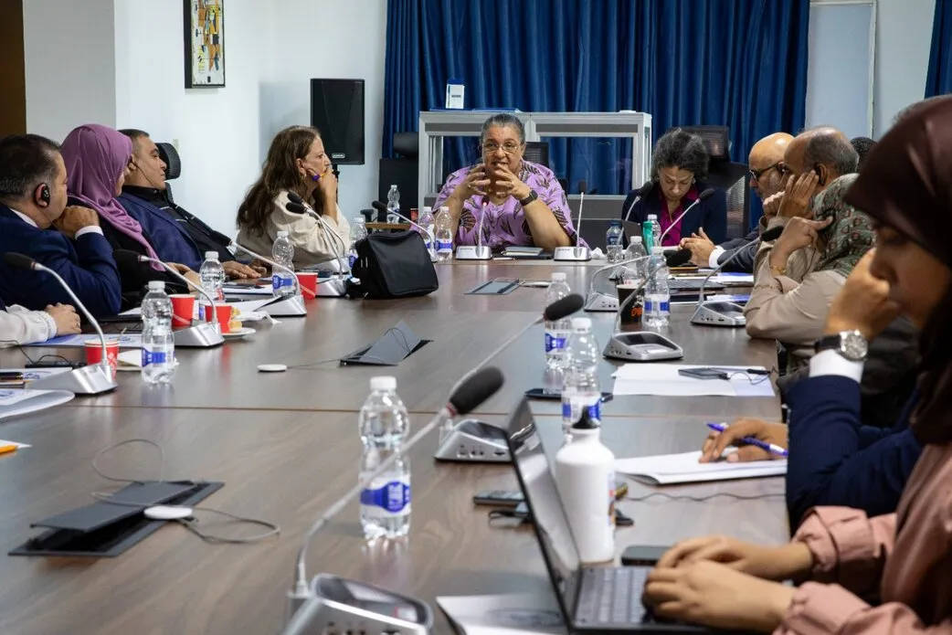 SRSG stresses the importance of including persons with disabilities in all political processes