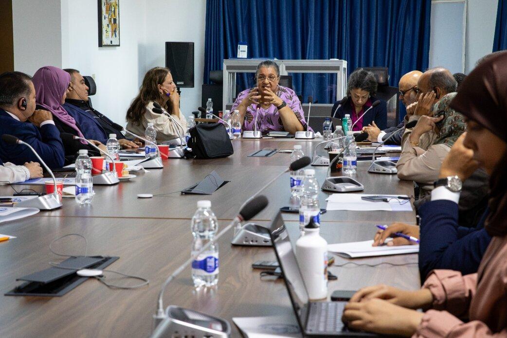 SRSG stresses the importance of including persons with disabilities in all political processes