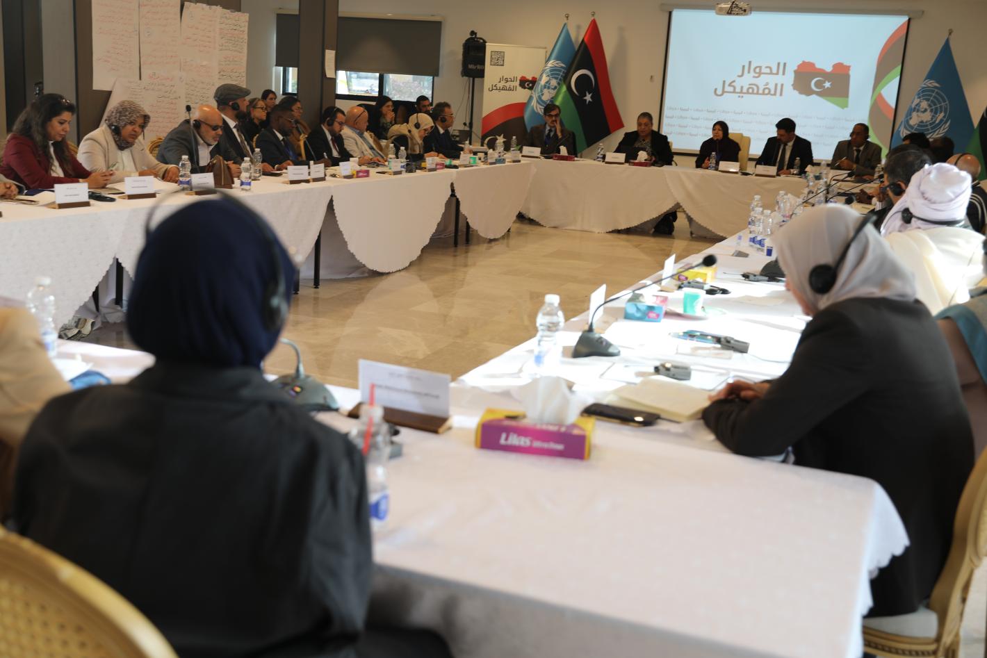 Discussions between members of the Structured Dialogue