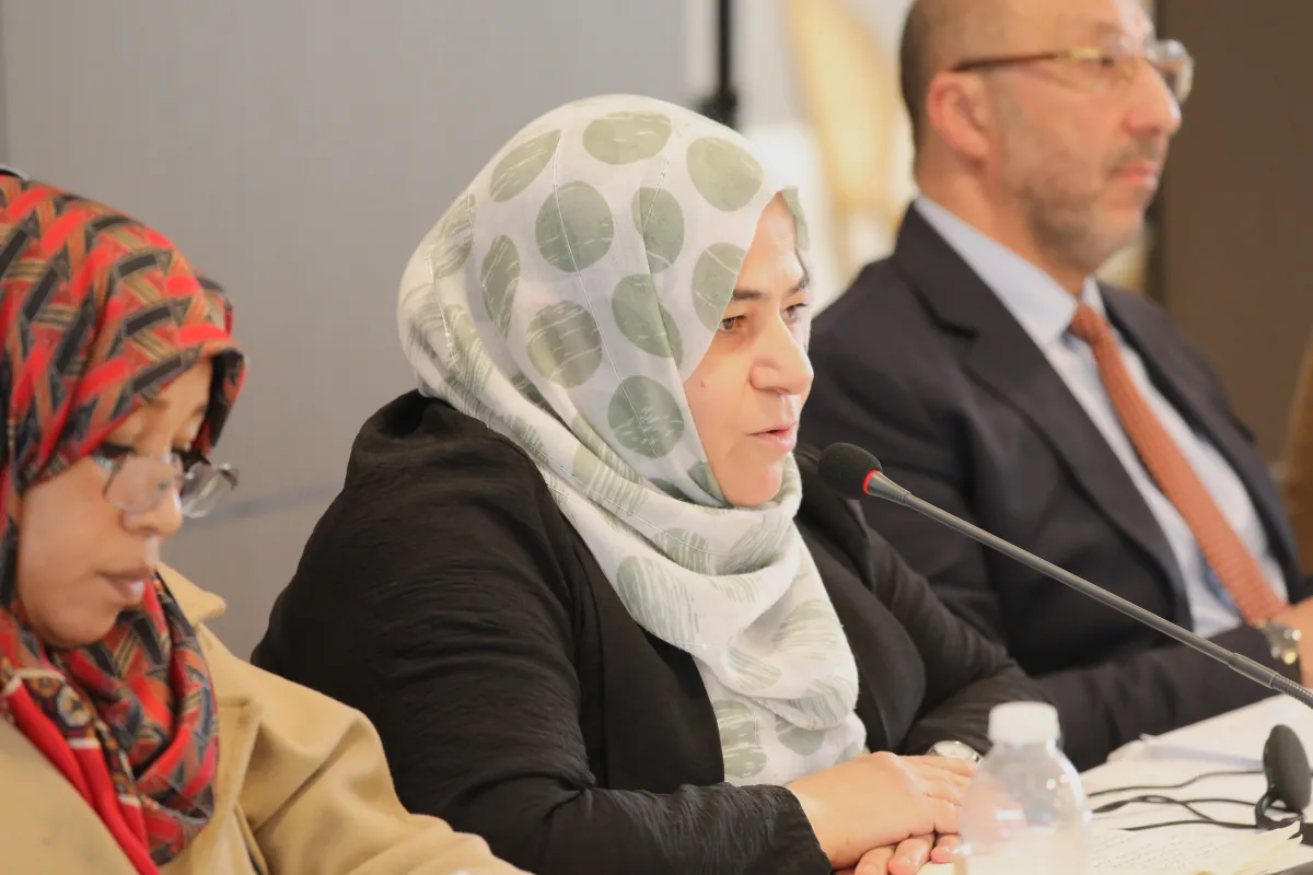 Members of the governance track of the structured dialogue in a meeting with the PWG members states