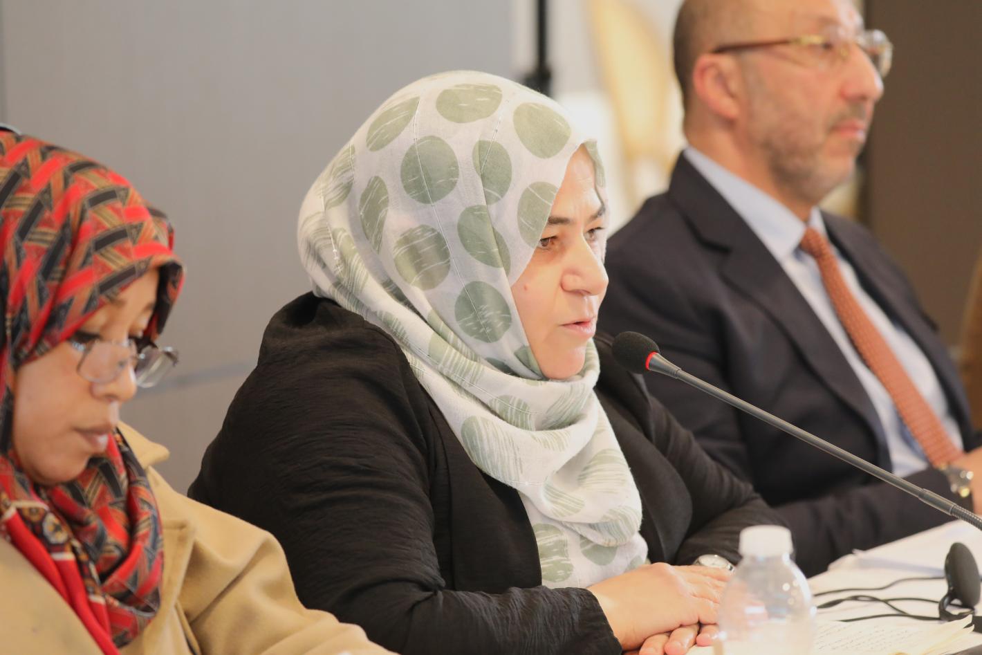 Members of the governance track of the structured dialogue in a meeting with the PWG members states