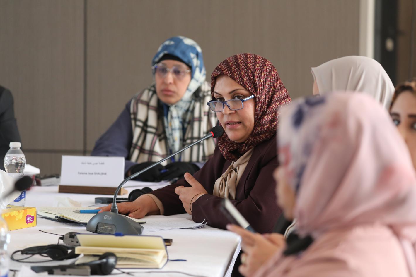 Members of the national reconciliation track of the structured dialogue in a meeting