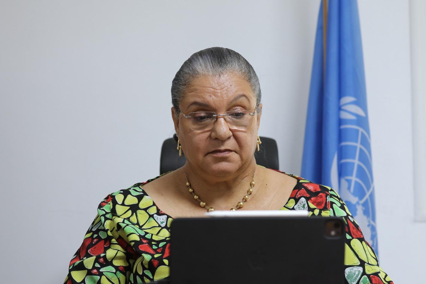 srsg_hanna_tetteh_in_the_virtual_plenary_meeting_of_the_structured_dialogue_.jpeg