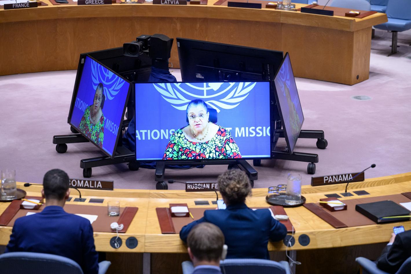 SRSG briefs the UN Security Council on 22 April