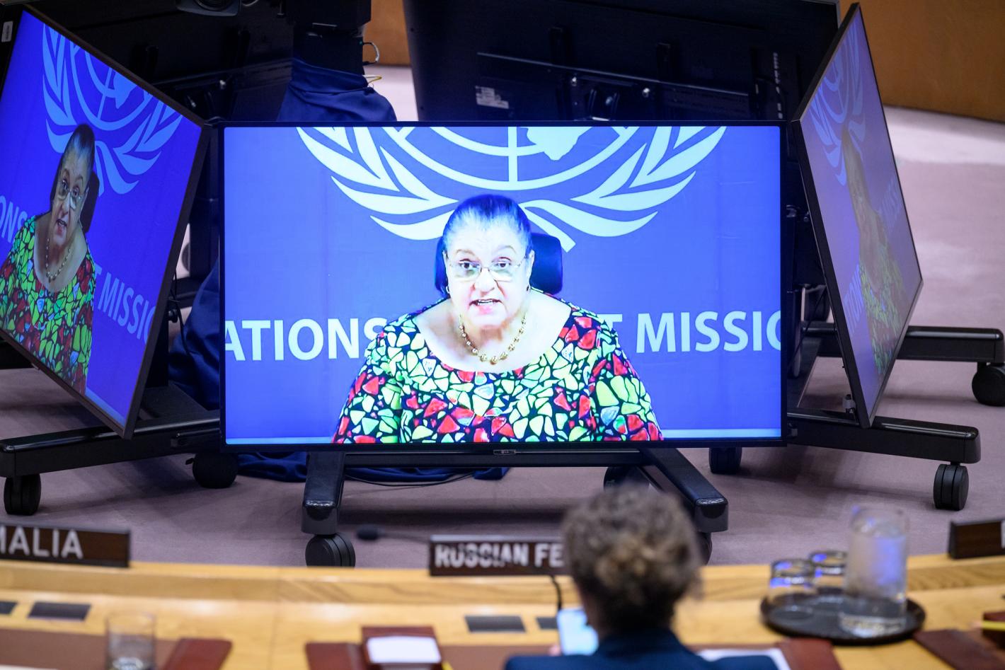 SRSG briefs the UN Security Council on 22 April