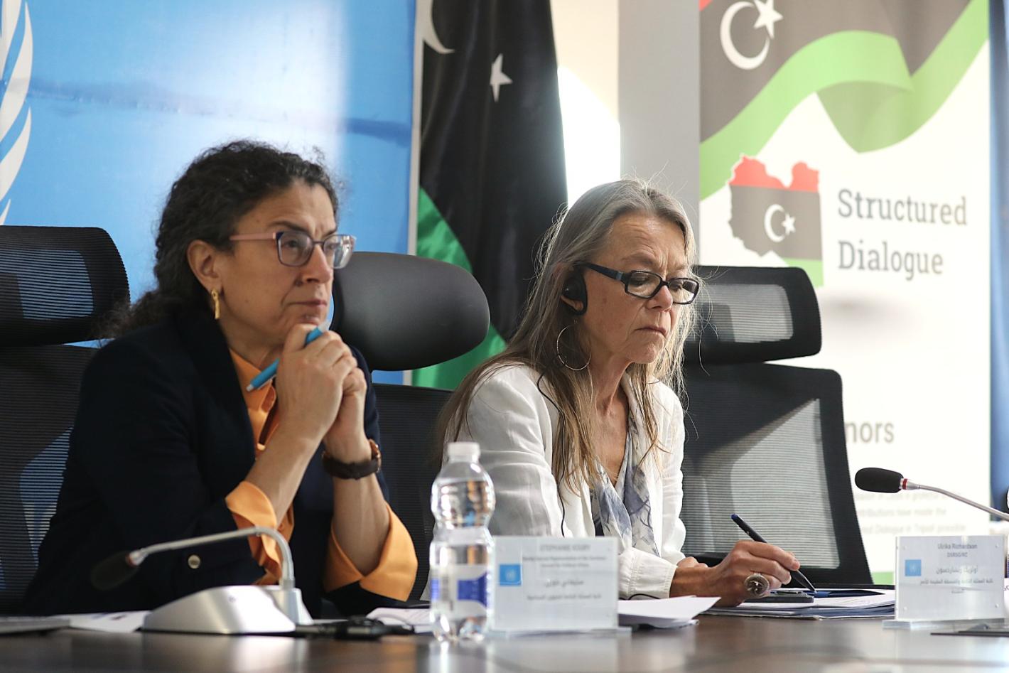 DSRSGs at the meeting 