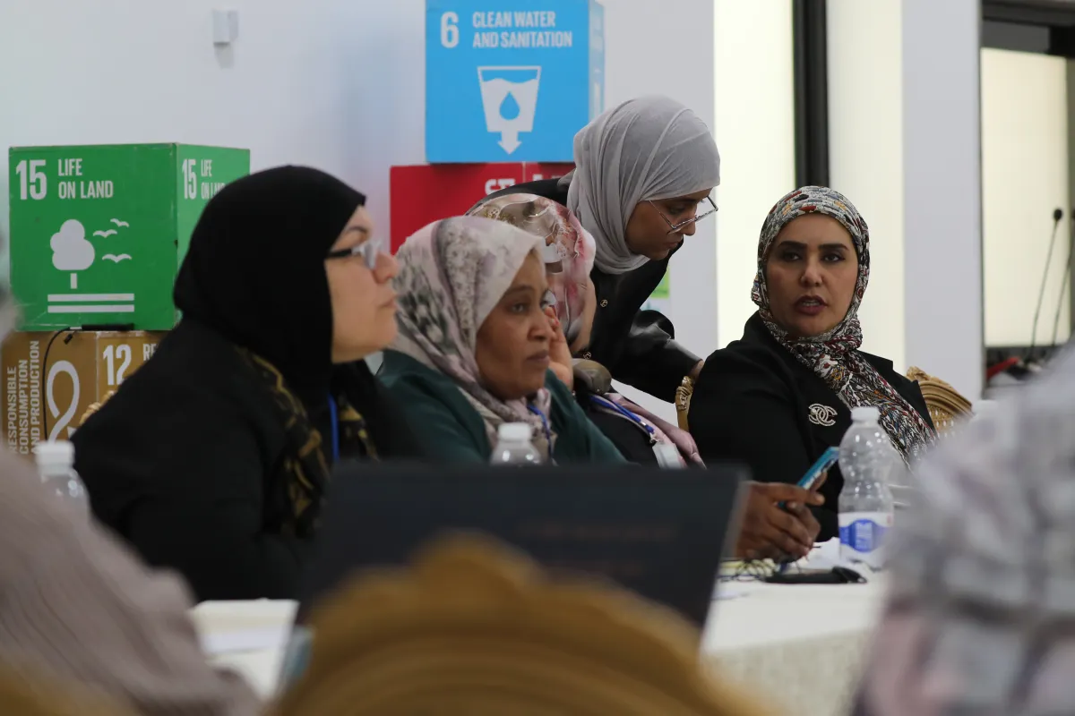 Libyan women push for inclusion in conflict and community violence reduction efforts