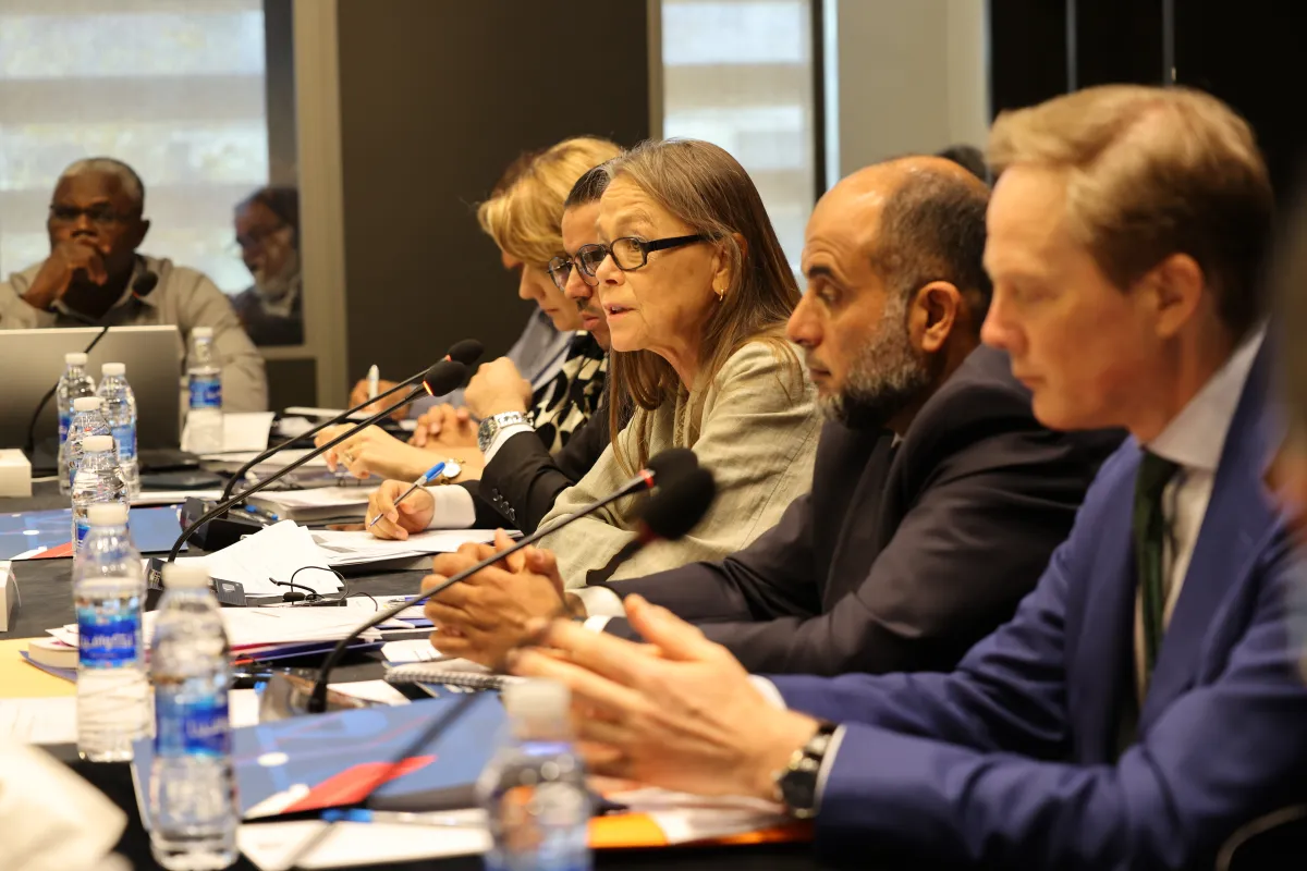 DSRSG-RC addressing attending institutions and families in the Missing Persons panel discussion