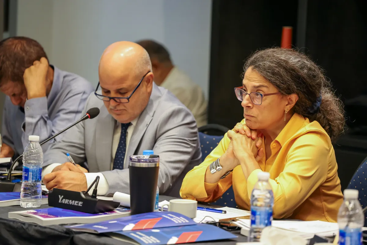 DSRSG-P attending the Missing Persons panel discussion