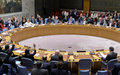 UNSMIL welcomes Security Council Resolution 2510 (2020) endorsing Conclusions of Berlin Conference on Libya