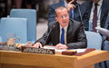Martin Kobler's Statement to the Security Council