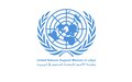 بعثة الأمم المتحدة للدعم في ليبيا تعلن بدء عمل فريق العمل المعني بالقانون الدولي الإنساني وحقوق الإنسان
