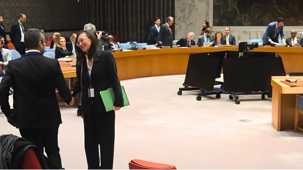 UNMHA OiC at Security Council